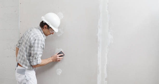 Best Drywall Removal and Disposal  in Forest Hill, TX